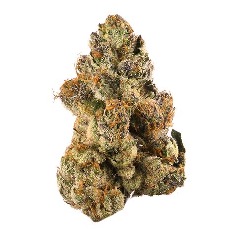 strawberry cherry gelato strain|Strawberry Cherry Gelato Weed Strain Information